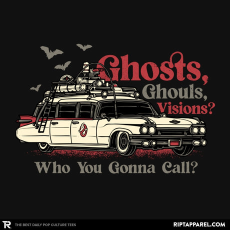 Who You Gonna Call?