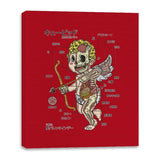 Cupid Anatomy - Canvas Wraps Canvas Wraps RIPT Apparel 16x20 / Red