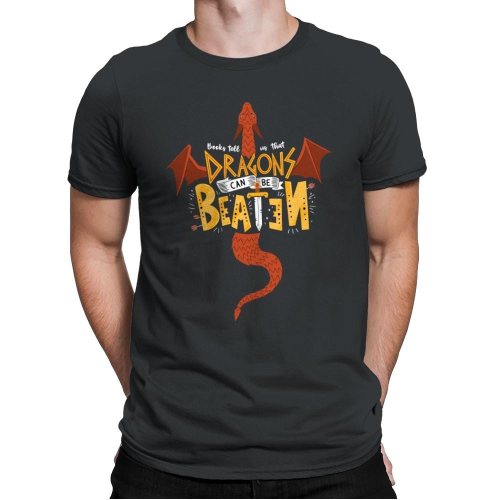 Dragons Can Be Beaten - Mens Premium T-Shirts RIPT Apparel Small / Heavy Metal