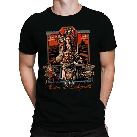 Enter the Labyrinth - Mens Premium T-Shirts RIPT Apparel Small / Black