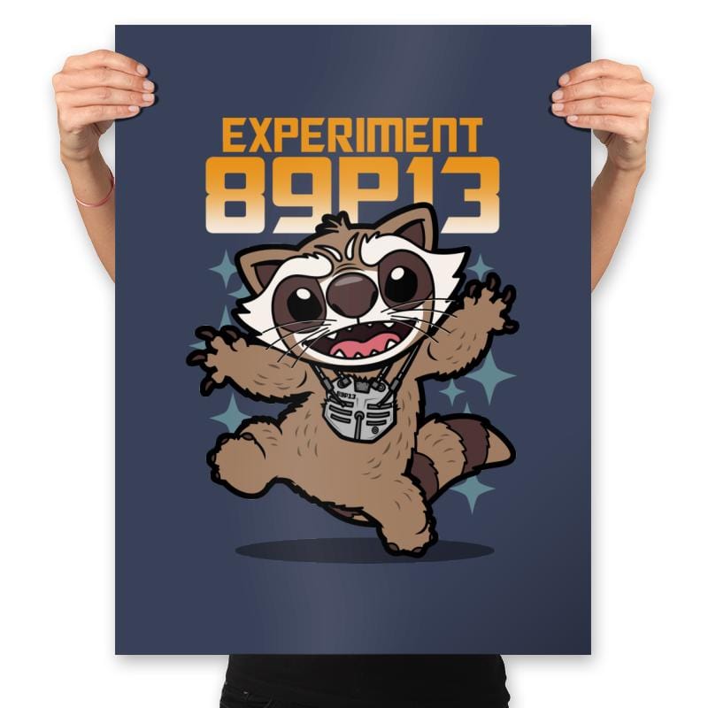 Experiment 89P13 - Prints Posters RIPT Apparel 18x24 / Navy