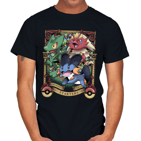 Hoenn Starters - Mens T-Shirts RIPT Apparel Small / Black