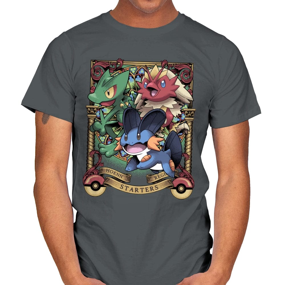 Hoenn Starters - Mens T-Shirts RIPT Apparel Small / Charcoal