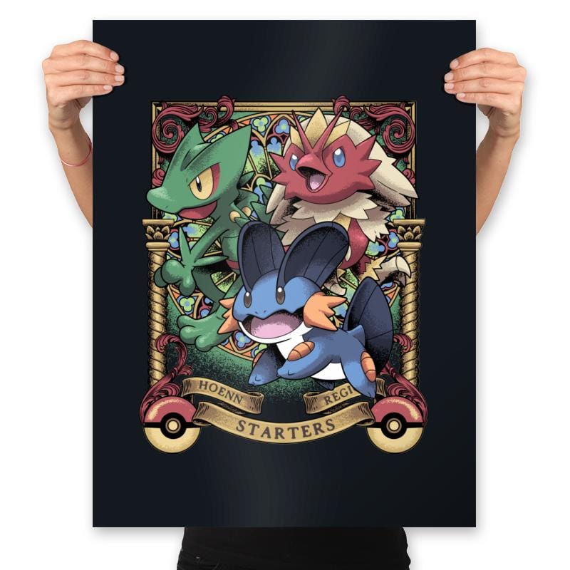 Hoenn Starters - Prints Posters RIPT Apparel 18x24 / Black