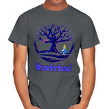 Land of Wonder - Mens T-Shirts RIPT Apparel Small / Charcoal