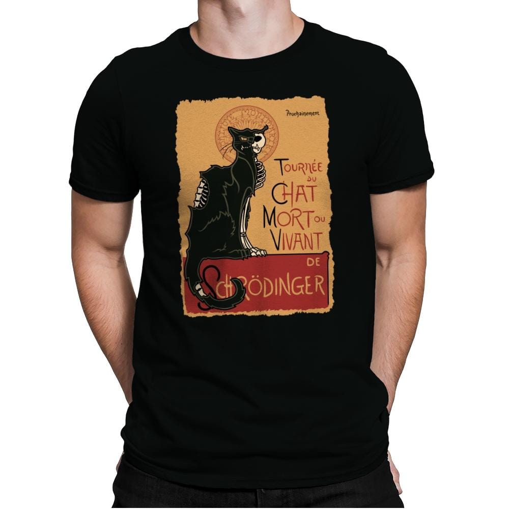 Le Chat Noir de Schrödinger - Mens Premium T-Shirts RIPT Apparel Small / Black