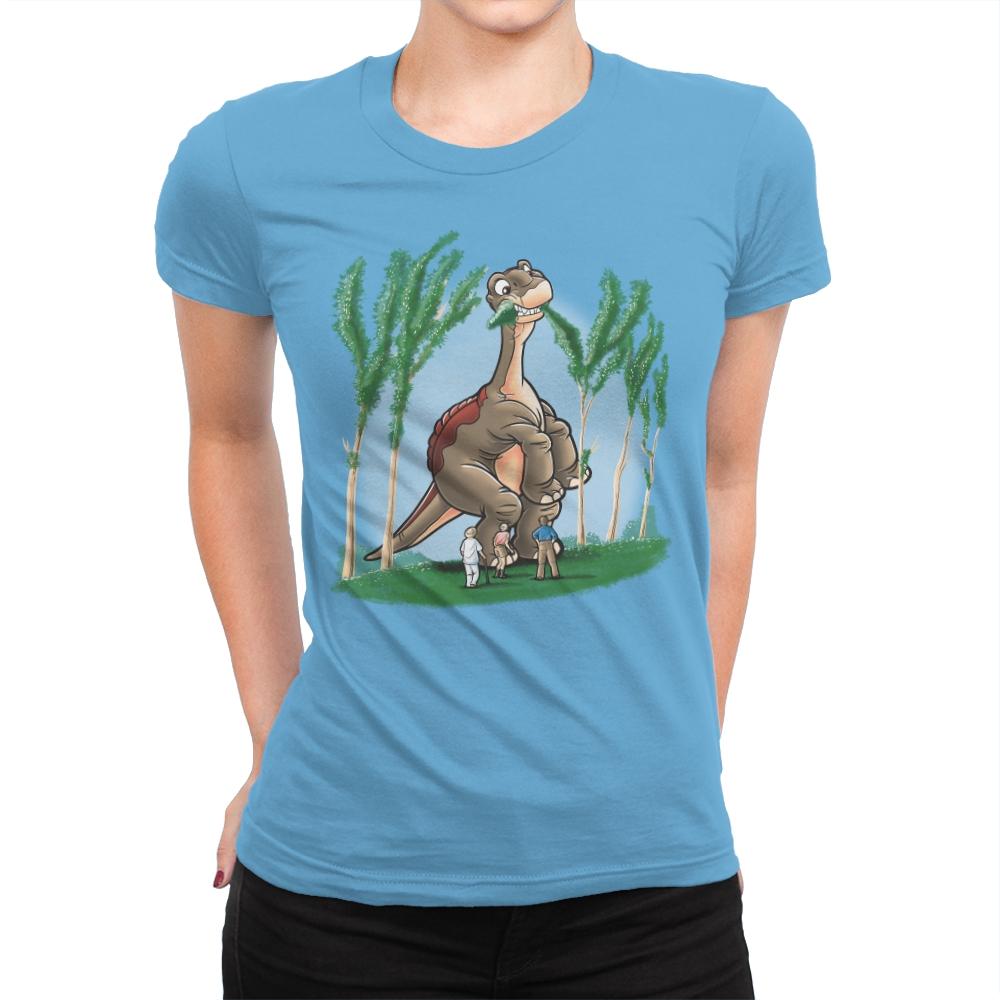 Little Foot Park - Womens Premium T-Shirts RIPT Apparel Small / Turquoise