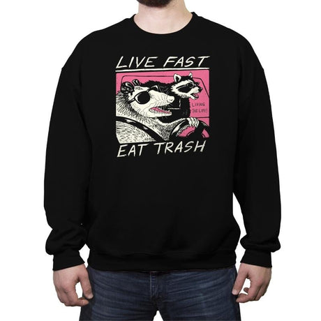 Live Fast! Eat Trash! - Crew Neck Sweatshirt Crew Neck Sweatshirt RIPT Apparel Small / Black