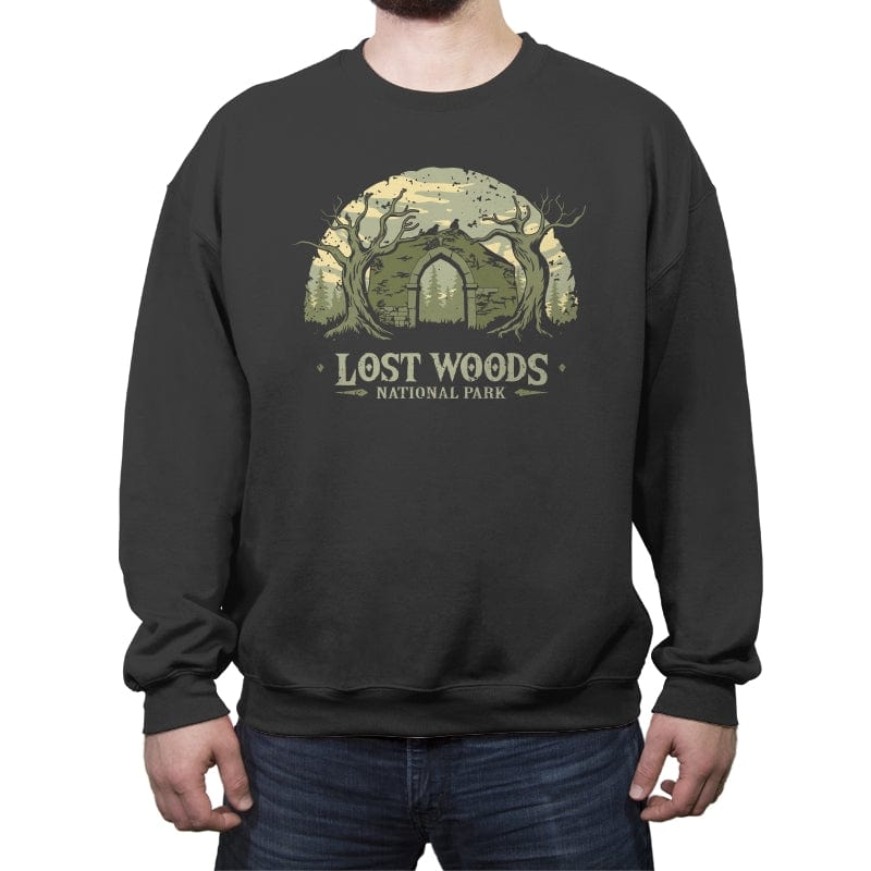 Lost Woods National Park - Crew Neck Sweatshirt Crew Neck Sweatshirt RIPT Apparel Small / Charcoal