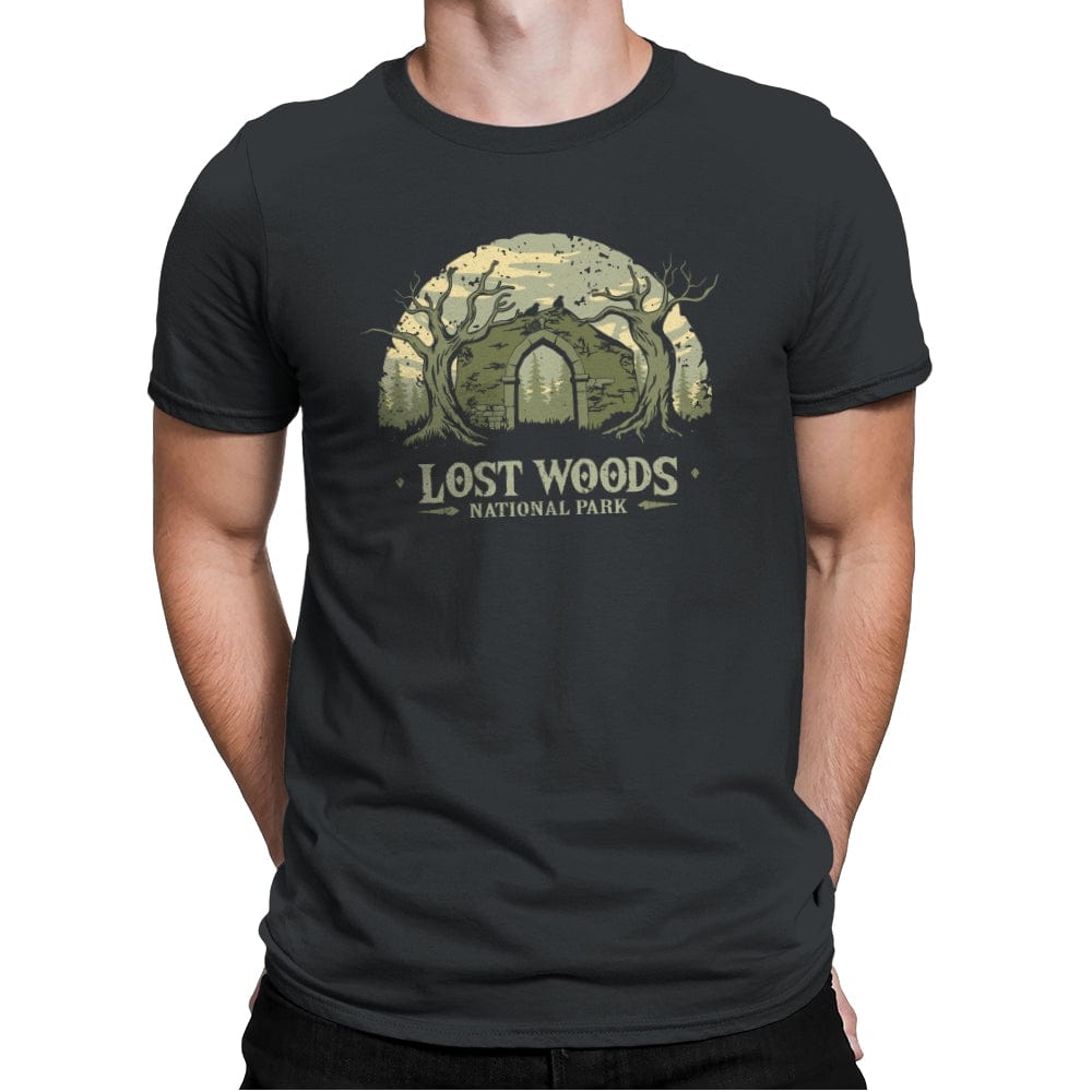 Lost Woods National Park - Mens Premium T-Shirts RIPT Apparel Small / Heavy Metal