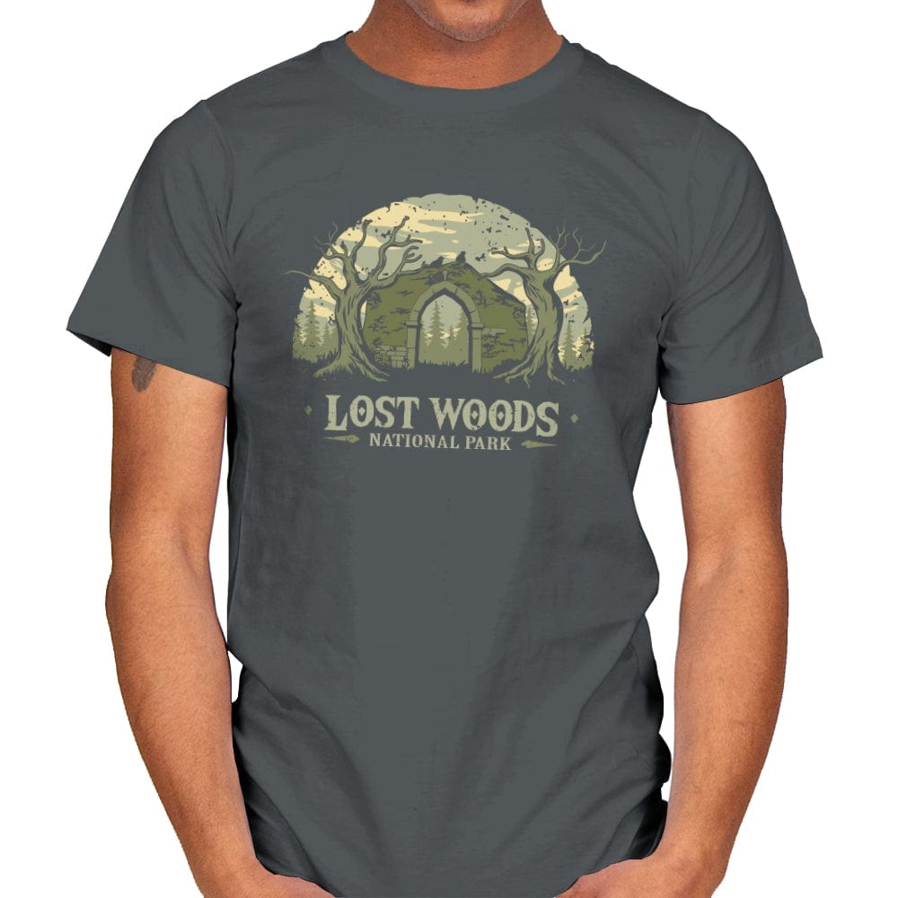 Lost Woods National Park - Mens T-Shirts RIPT Apparel Small / Charcoal