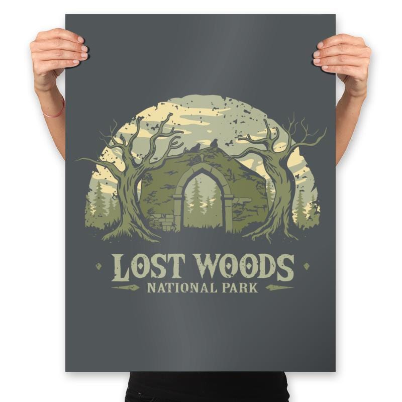 Lost Woods National Park - Prints Posters RIPT Apparel 18x24 / Charcoal