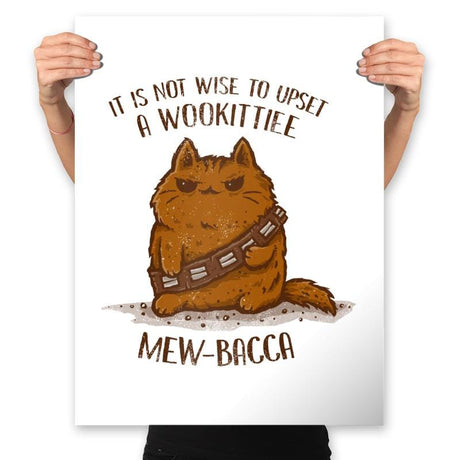 Mew-Bacca - Prints Posters RIPT Apparel 18x24 / White