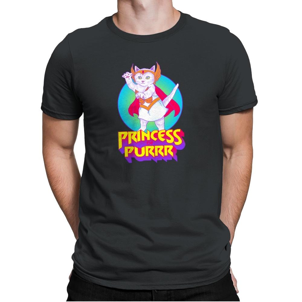 Princess of Purrr - Saturday Morning Tees - Mens Premium T-Shirts RIPT Apparel Small / Heavy Metal