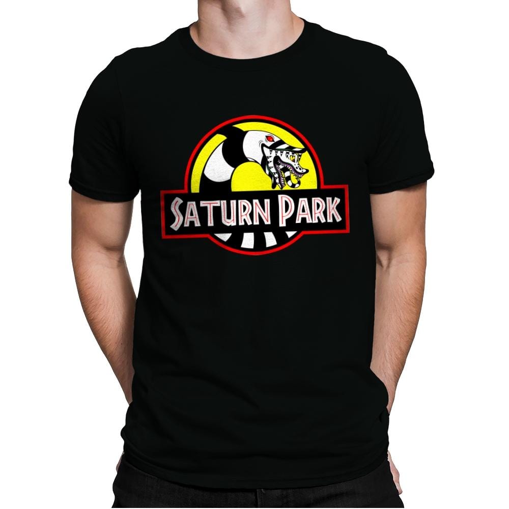 Saturn Park - Mens Premium T-Shirts RIPT Apparel Small / Black