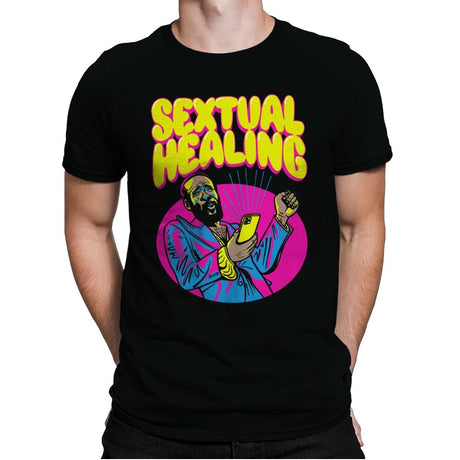 Sextual Healing - Mens Premium T-Shirts RIPT Apparel Small / Black