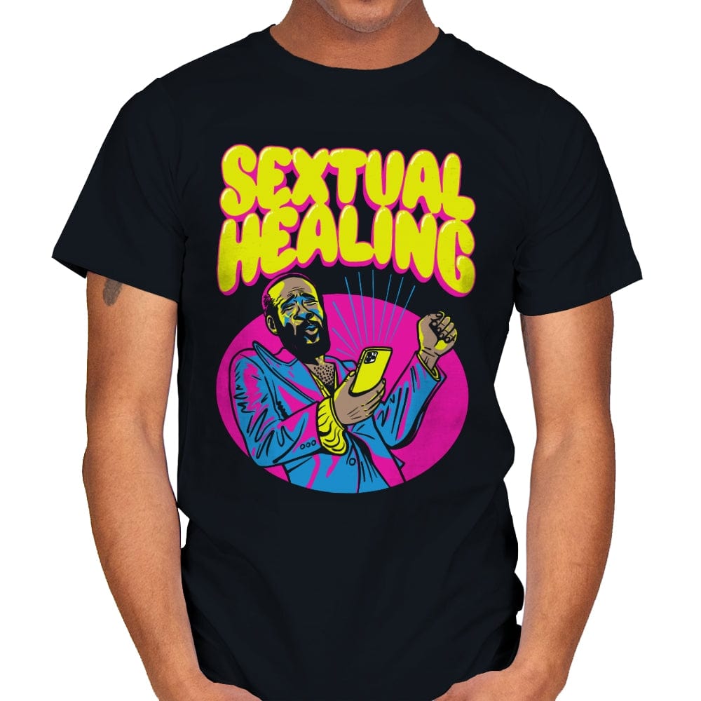 Sextual Healing - Mens T-Shirts RIPT Apparel Small / Black