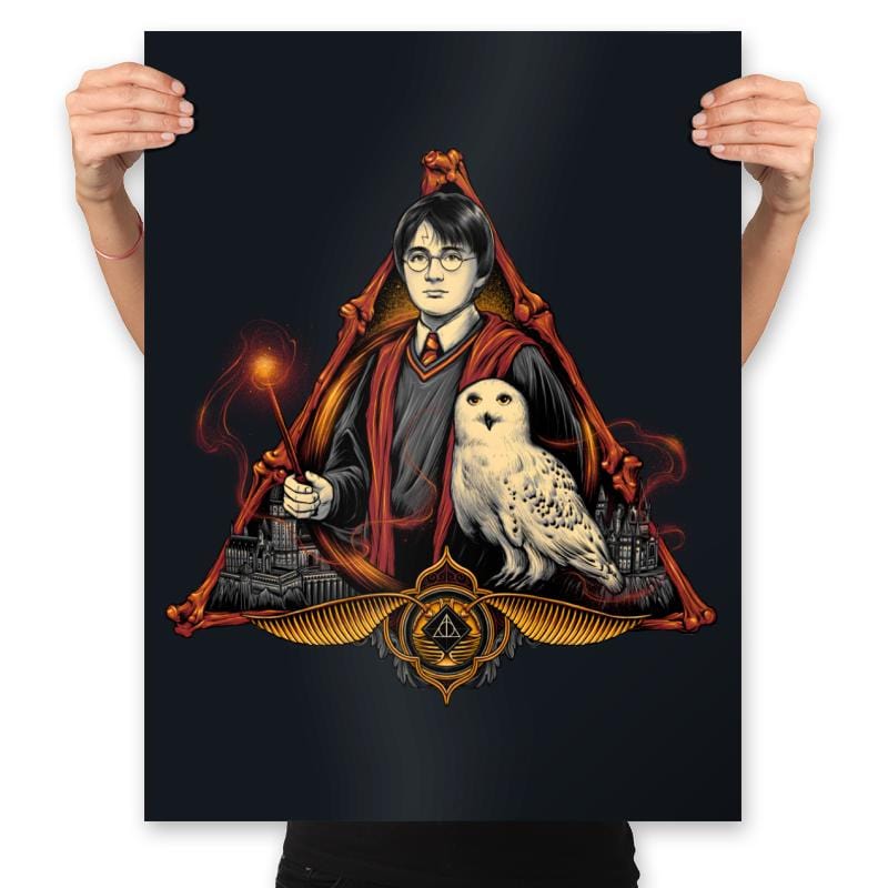 The Boy Who Lived - Prints Posters RIPT Apparel 18x24 / Black