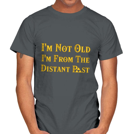 The Distant Past - Mens T-Shirts RIPT Apparel Small / Charcoal