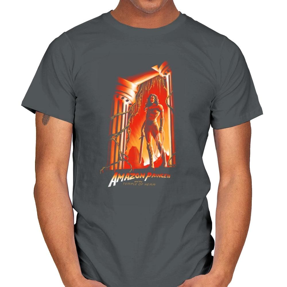 The Temple of Herra Exclusive - Wonderful Justice - Mens T-Shirts RIPT Apparel Small / Charcoal