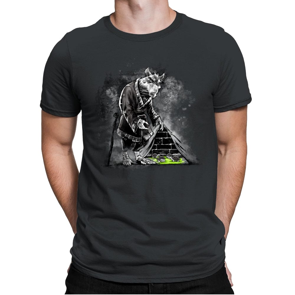 Turtles Behind the Wall - Mens Premium T-Shirts RIPT Apparel Small / Heavy Metal