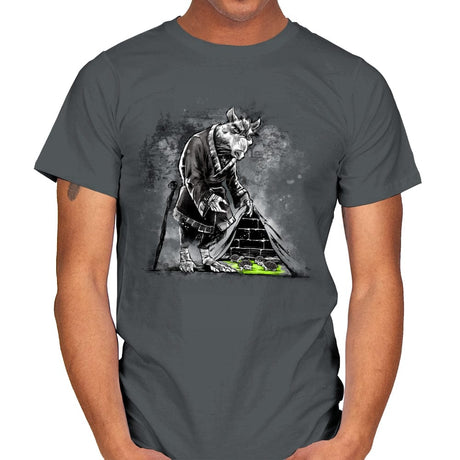 Turtles Behind the Wall - Mens T-Shirts RIPT Apparel Small / Charcoal