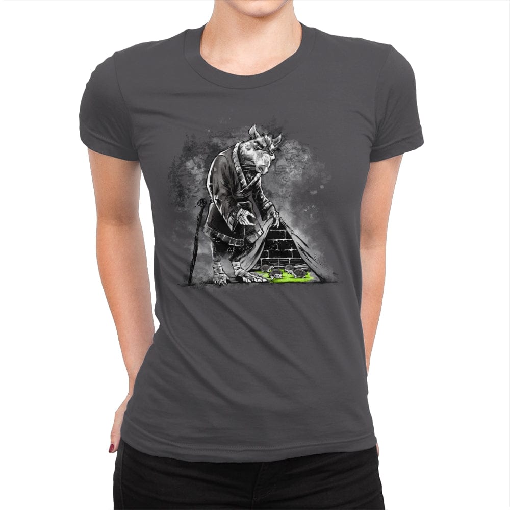 Turtles Behind the Wall - Womens Premium T-Shirts RIPT Apparel Small / Heavy Metal