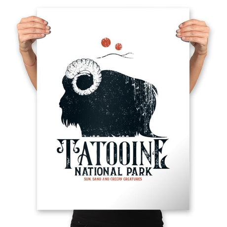 Vintage National Park - Prints Posters RIPT Apparel 18x24 / White