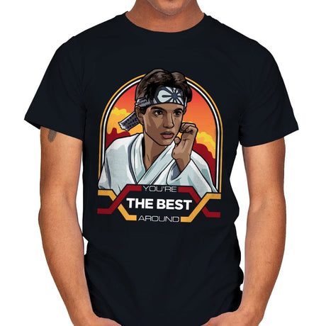 You're the Best Around - Mens T-Shirts RIPT Apparel Small / Black