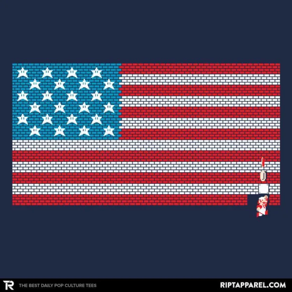 Stars and Stripes and Bricks Exclusive