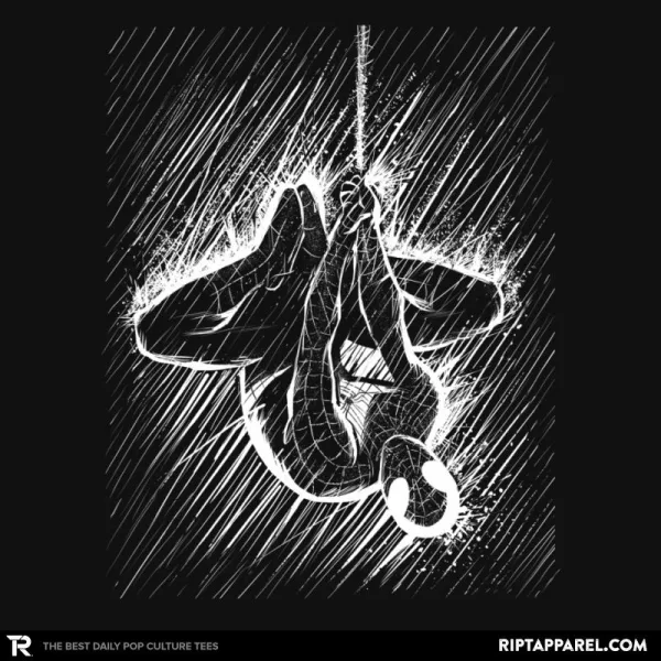 Spider in the Rain