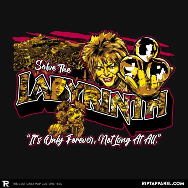 Solve the Labyrinth