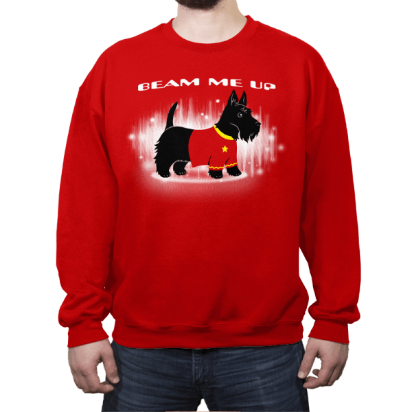 Beam Me Up Reprint - Crew Neck Crew Neck RIPT Apparel