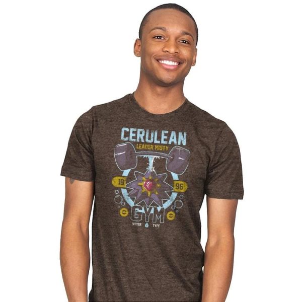 Cerulean Gym - New Year's Evolutions - Mens T-Shirts RIPT Apparel 4x-large / Brown