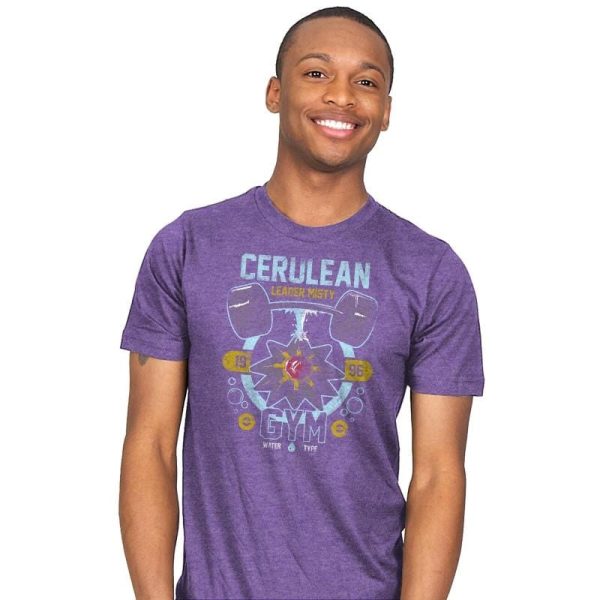 Cerulean Gym - New Year's Evolutions - Mens T-Shirts RIPT Apparel 4x-large / Purple