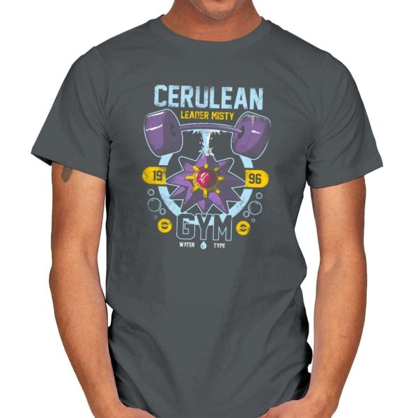 Cerulean Gym - New Year's Evolutions - Mens T-Shirts RIPT Apparel Small / Charcoal