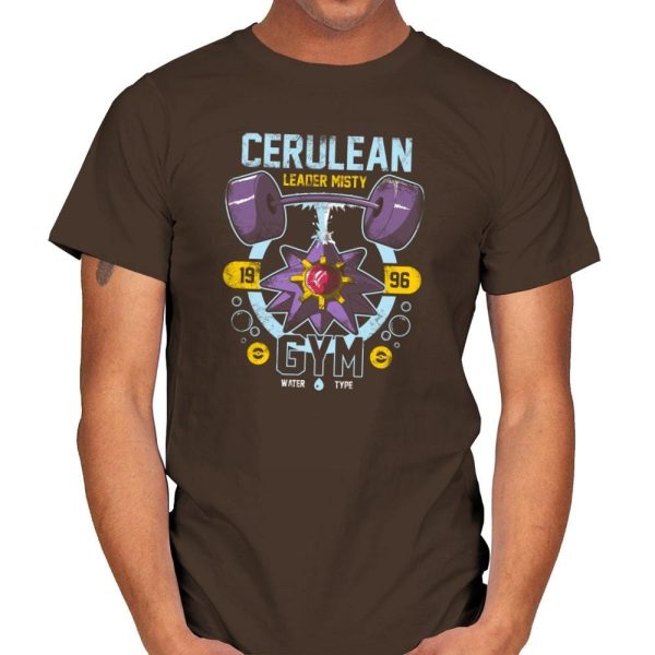 Cerulean Gym - New Year's Evolutions - Mens T-Shirts RIPT Apparel Small / Dark Chocolate