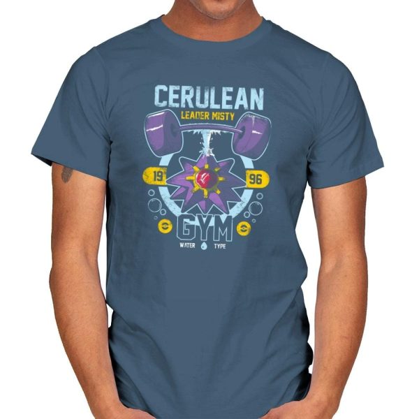 Cerulean Gym - New Year's Evolutions - Mens T-Shirts RIPT Apparel Small / Indigo Blue