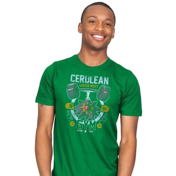 Cerulean Gym - New Year's Evolutions - Mens T-Shirts RIPT Apparel Small / Kelly
