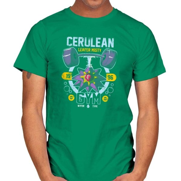 Cerulean Gym - New Year's Evolutions - Mens T-Shirts RIPT Apparel Small / Kelly Green