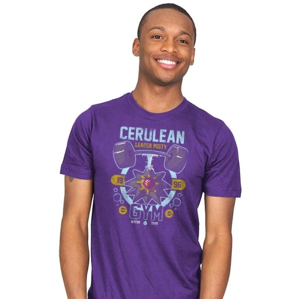 Cerulean Gym - New Year's Evolutions - Mens T-Shirts RIPT Apparel Small / Purple