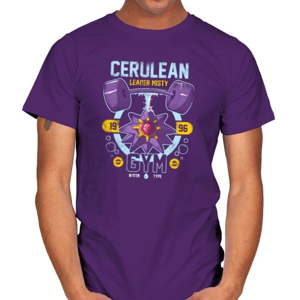 Cerulean Gym - New Year's Evolutions - Mens T-Shirts RIPT Apparel Small / Purple