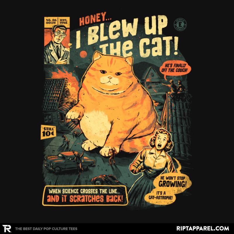 Honey I Blew Up The Cat