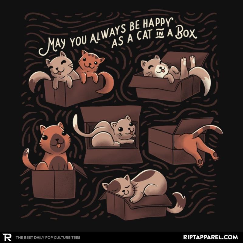 Cats in a Box