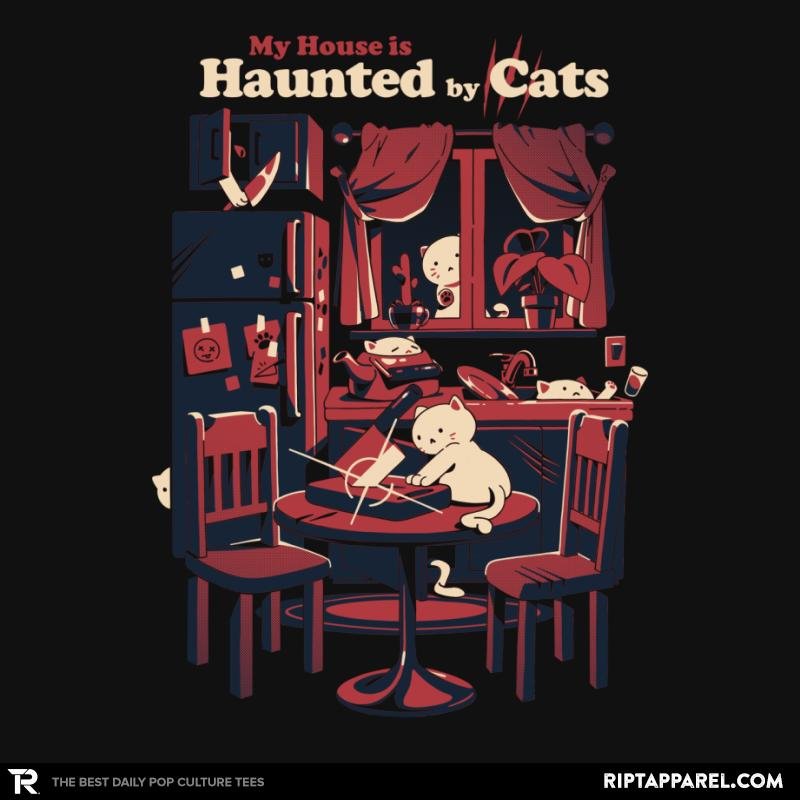 Haunted by Cats