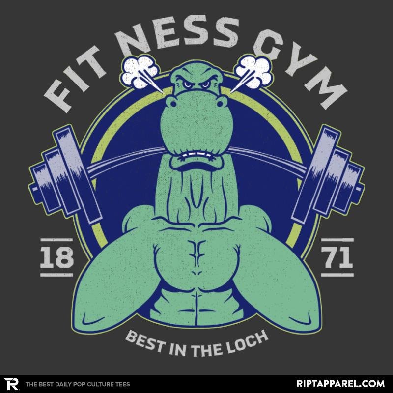 Fit Ness Gym