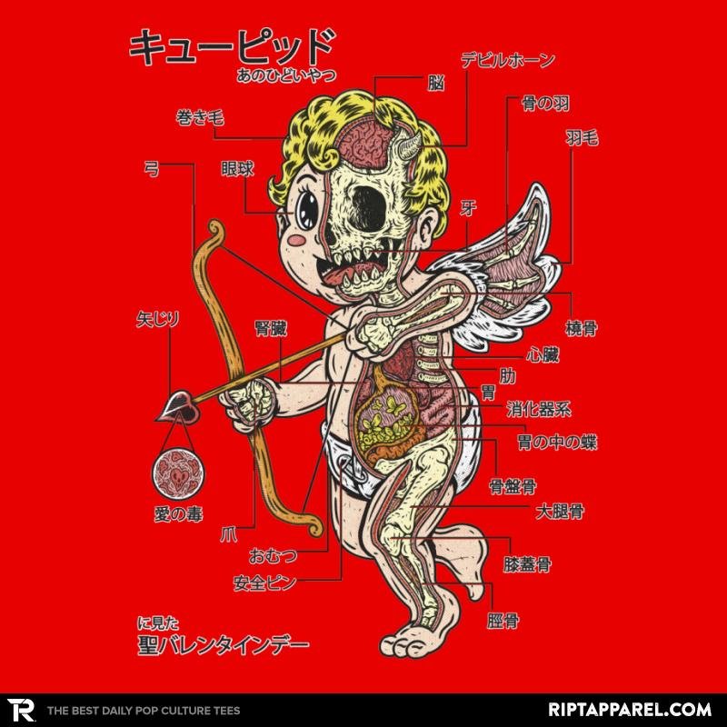 Cupid Anatomy