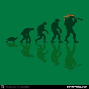 Michelangelo Evolution