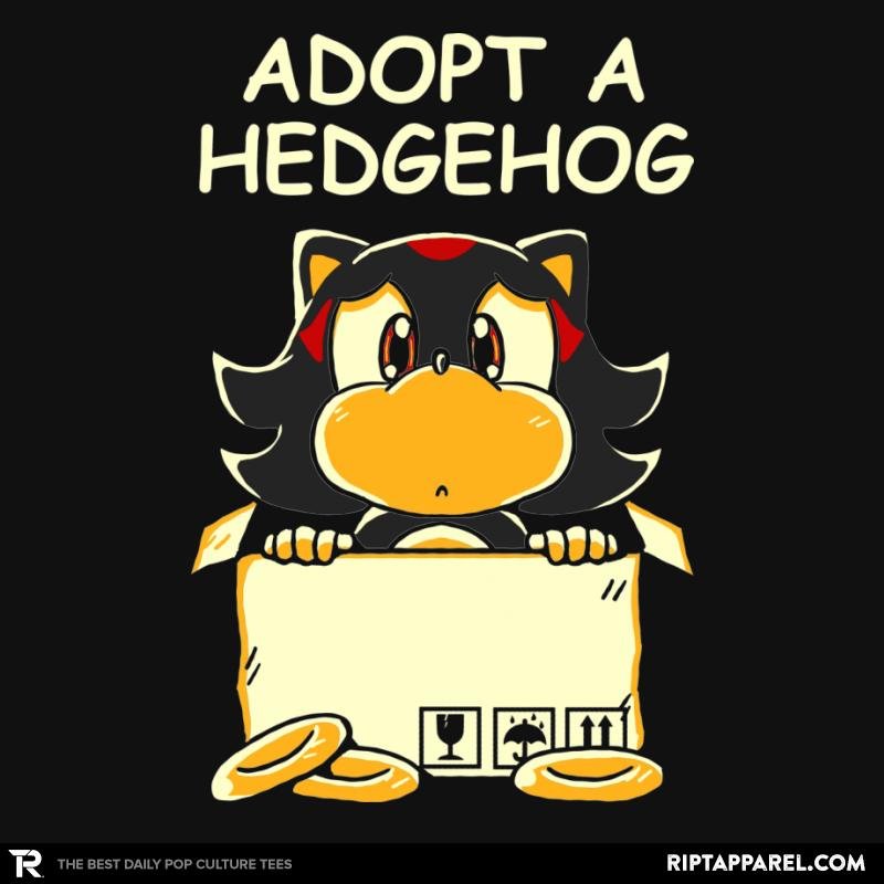 Adopt A Hedgehog