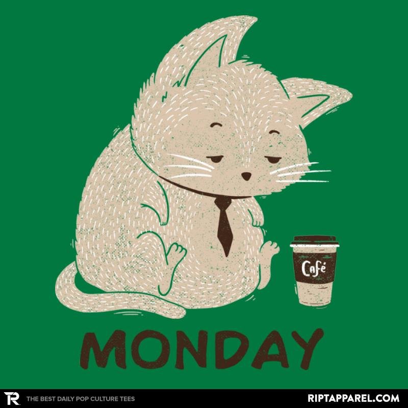 Monday Cat